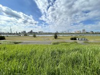 荒川小菅緑地公園