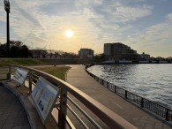 左岸親水テラス6