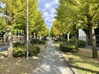 西亀有せせらぎ公園