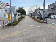 曳舟川親水公園白鳥21