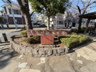 曳舟川親水公園白鳥9